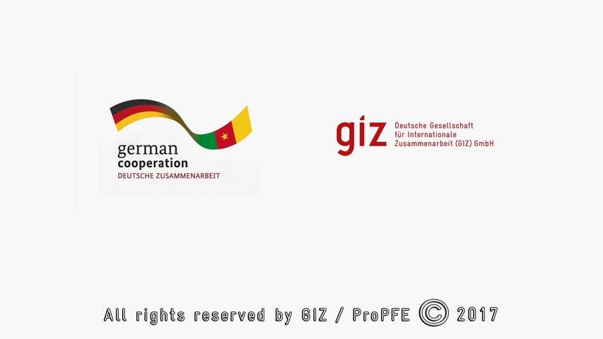 GIZProPFE-MinistryofEnvironment