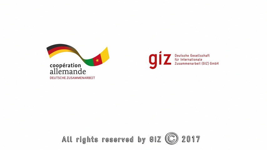GIZREMAP-ResourcesandRisks
