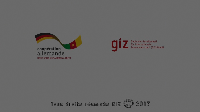 GIZREMAP-RessourcesetRisques